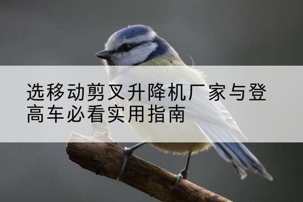 永胜电动升降机厂家-选移动剪叉升降机厂家与登高车必看实用指南