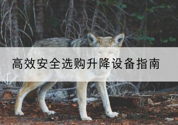 永胜升降货梯厂家推荐-*安全选购升降设备指南