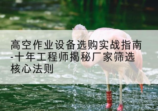永胜剪叉式升降机厂家-高空作业设备选购实战指南-十年工程师揭秘厂家筛选核心法则